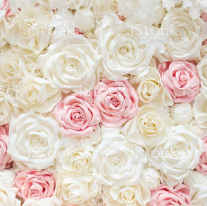 Meet your Posher, Hadiza